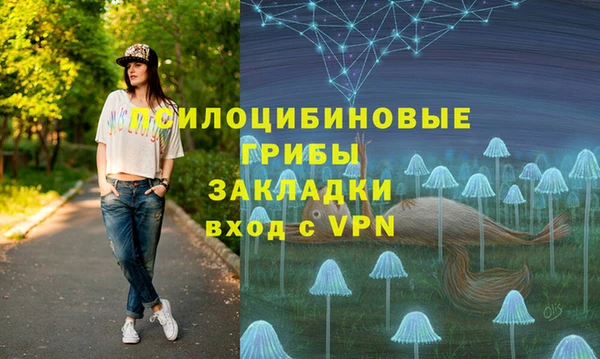 mdpv Бородино