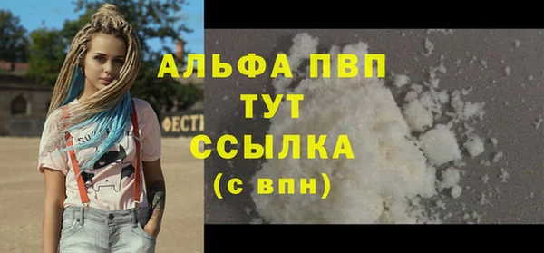 mdpv Бородино