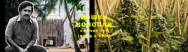 mdpv Бородино