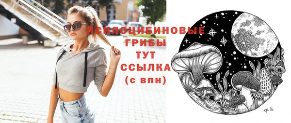 mdpv Бородино