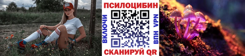 сайты даркнета клад  Архангельск  Псилоцибиновые грибы Psilocybine cubensis  omg ТОР 